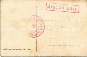 Tüzérségünk munkában / Artillerie im Feuer / WWI Austro-Hungarian K.u.K. military, artillery firing ...