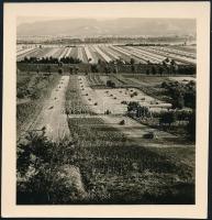 cca 1935 Kinszki Imre (1901-1945) budapesti fotóművész hagyatékából, jelzés nélküli vintage fotó (Mezőgazdasági táj), 6,5x6,2 cm