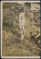 cca 1916. augusztus, Doberdó, harctér csata után, elesett katonák, a képnek csak az egyik fele került elő, feliratozva, 9x13 cm