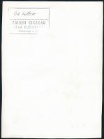 cca 1975 Zsigri Oszkár (1933-?) budapesti fotóművész hagyatékából, pecséttel jelzett, vintage fotómű...