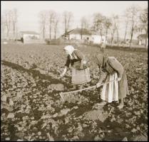 cca 1939 Thöresz Dezső (1902-1963) békéscsabai gyógyszerész és fotóművész hagyatékából 2 db vintage ...