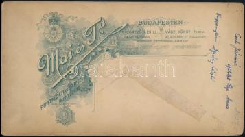 cca 1897 Budapest, Mai Manó (1855-1917) budapesti fényképész és Társa műtermében készült, feliratozo...