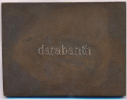 Gács Lajos (1905-1981) 1940. "Az érdem jeléül" egyoldalas Br sport emlékplakett, előlapon ...