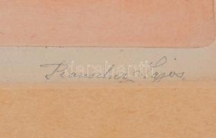 Rauscher Lajos (1845 - 1914): Sopron. Rézkarc, papír. Jelzett. 17x12 cm Üvegezett keretben