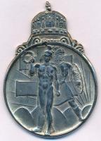 1936. "Nemzetközi Sportversenyek" ezüstözött Br sportérem, "LUDVIG" gyártói jelz...