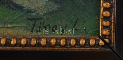 Törey jelzéssel: Pipázó asszony, olaj, farost, jelzett, fa keretben, 34x24 cm