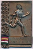 1957. Futó témájú, bronzozott fém sport emlékplakett, zománcozott magyar és német zászlókkal, gravírozva Budapest 1957 (67x46mm) T:1-,2