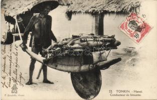 Tonkin transporting pigs