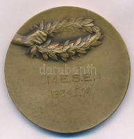 1934. "M.E.S.E. (Magyar Egyetemi Sport Egylet?)" jégkorcsolya témájú kétoldalas Br sport e...