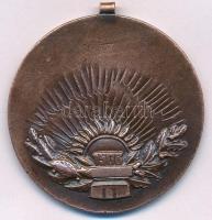 Ripszám Henrik (1889-1976) 1908. "Munkás Testedző Egyesület" Br emlékérem füllel (40mm) T:...