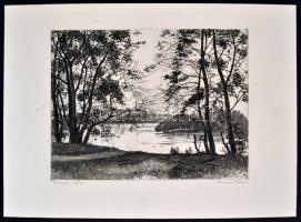 Csurgói Máté Lajos (1931-2001): Fűzfák. Rézkarc, papír, jelzett, 29x39 cm