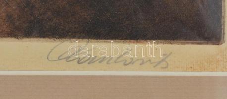 Paulovits Pál (1892-1975): Jézus. Színezett rézkarc, papír, jelzett, 26x31 cm Üvegezett keretben