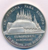 Lebó Ferenc (1960-) 1992. "Expo '92 Sevilla - Magyarország / Európában, Európáért" je...