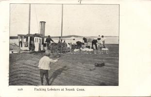 Noank Packing Conn. Lobsters
