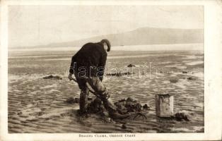 Oregon digging clams