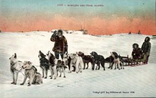 Alaska Hawling dog team