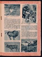 1957-1959 Magyar Vadász 9 száma