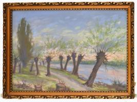 Szittya Horváth Lajos: Győr-Sopron megyei táj. Pasztell, papír. 26x37 cm Üvegezett keretben, hátolda...