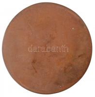 Ligeti Erika (1934-2004) DN "Tavasz" Br plakett (88mm) T:1- kis patina