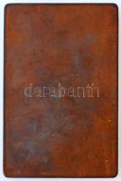 Beck Ö. Fülöp (1873-1945) 1902. "A Magyar Nemzeti Múzeum 100 éves fennállásának emlékére 1802-1...