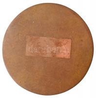 Nagy István János (1938-) 1978. "A Magyar Korona hazatérte emlékére" Br emlékplakett (96mm...