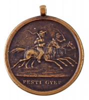 1841. "Pesti Gyep" Br emlékérem füllel (27,19g/43mm) T:2 / Hungary 1841. "Turf of Pes...