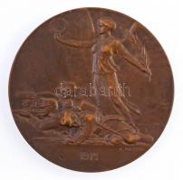 Osztrák-Magyar Monarchia 1914. "Az első világháború kezdete" Br emlékérem. Szign.: Rudolf ...