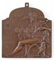 Ifj. Vastagh György (1868-1946) 1909. "XVI. Nemzetközi Orvos Kongresszus - Budapest" bronz plakett szalag nélkül (33,26g/40x40mm) T:1,1- / Hungary 1909. Medical Congress Br plaque Sign: György Vastagh, Ifj. (33,26/40x40mm) C:UNC,AU HP 6363., HV 1398.