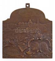 Ifj. Vastagh György (1868-1946) 1909. "XVI. Nemzetközi Orvos Kongresszus - Budapest" bronz...