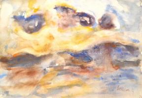 Somlai Vilma (1938-2007): Balaton eső után. Akvarell, papír, jelzett, jobb szélén enyhén sérült 35x50 cm
