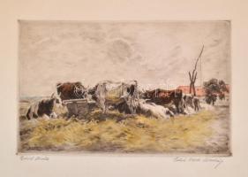 Edvi Illés Aladár (1870 - 1958): Delelő ökrök, színezett rézkarc, karton, jelzett, 19×30 cm