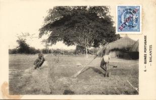 Portugal Guinea Balantes