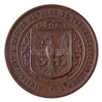 Wenzel Seidan (1817-1870) 1866. "Rimaszombat a Magyar Orvosok és Természetvizsgálóknak" ké...