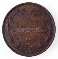 Gerl Károly és Mayer Elek 1884. "Trefort Ágoston M. K. Vallás- és Közoktatásügyi Minister / A M...