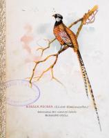 Fónagy József: A fácán és fogoly vadászata, tenyésztése, hálóval való fogása
Budapest, [1900], Athe...