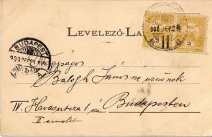 1900 Budapest XI. Kelenföld vasútállomás, vasutasok, Siófok tábla (EK)