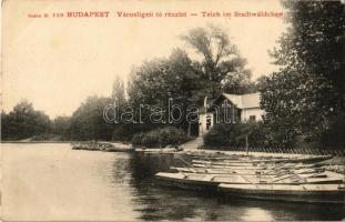 Budapest XIV. Városligeti tó, evezős csónakok. Serie N. 110. (EB)