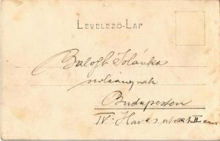 Budapest XIV. Városligeti tó, evezős csónakok. Serie N. 110. (EB)