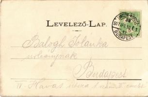 1907 Füzesabony, Malomtéri részlet, kereszt, Vízimalom. Fogyasztási Szövetkezet kiadása + "LAWO...