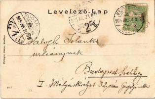 1905 Nyíregyháza, Római katolikus új templom, Guttmann Henrik, Hirschler Mór üzlete. Piringer János ...