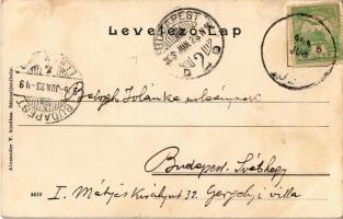 1906 Lelesz, Leles (Újhely, Slovenské Nové Mesto); Leleszi vár, Premontrei rendház kastélya. Alexand...