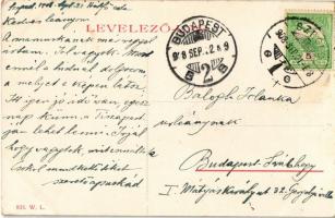 1908 Szeged, Vasúti híd, gőzmozdony, vonat, faúsztatás. W. L. 833.  (EK)