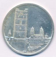 Csúcs Viktória (1934-) 1970. "Budapesti Éremgyűjtők Vándorgyűlése - Debrecen" Ag emlékérem...