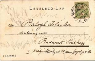 1904 Szombathely, Horváth Boldizsár tér, Piac, árusok, Hungária szálló és kávéház, Krausz Adolf üzle...