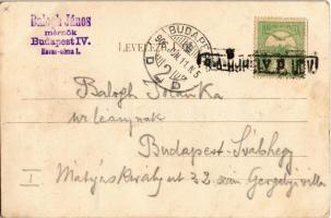 1906 Borsi, Borsa; II. Rákóczi Ferenc szülőháza, Kazinczy mauzóleum Széphalomban (Sátoraljaújhely). ...