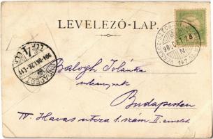 1904 Torontálszécsány, Setschan, Secanj; Fő utca, Római katolikus templom / main street, Catholic ch...