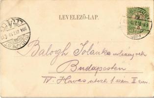 1904 Nagybecskerek, Zrenjanin, Veliki Beckerek; Ferenc József híd. Oldal felvétele és kiadása / Fran...