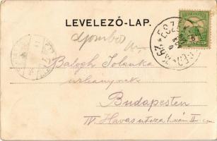 1904 Gombos, Bogojeva; "DRAVA" vonatszállító gőzkomp Gombos és Erdőd között a Dunán, gőzmo...