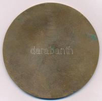 1985. "I. Zalaegerszegi Sárkányrepülő Verseny" Br plakett (100mm) T:1-