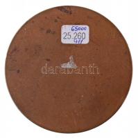 Telcs Ede (1872-1948) 1912. "Wertheim Ármin és neje Grünfeld Irma" Br emlékérem (70,38g/55...